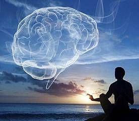 Exploring consciousness